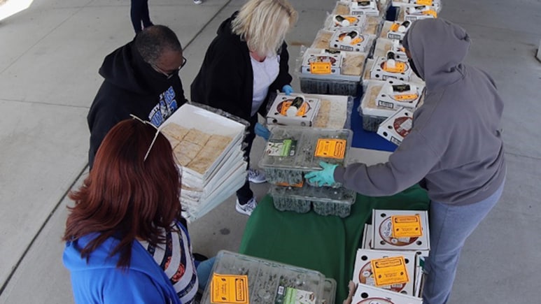US Hunger Crisis Worsens Beyond Covid Years: New York Fed