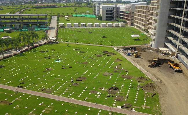 Nearly 800 Bodies Removed From Ecuador's Coronavirus Epicenter Guayaquil