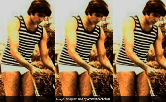 Amitabh Bachchan Wins The Internet With, Umm, "Bikini Pic." Everyone Else Can Go Home