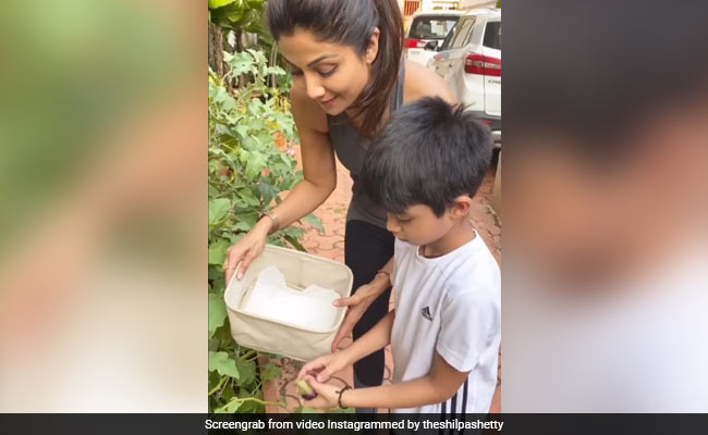 When Shilpa Shetty's Son Viaan Helped Her In Preparing Lunch With Home-Grown Veggies
