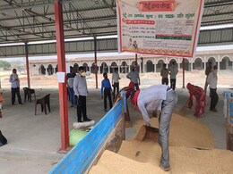 Farmers Arrive In Trickle At Punjab, UP Mandis As COVID-19 Slows Harvest Farmers Arrive In Trickle At Punjab, UP Mandis As COVID-19 Slows Harvest