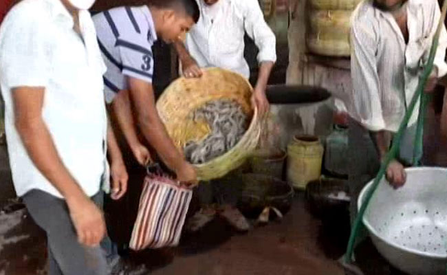 Bengal Prawn Farmers Face Troubled Times As Lockdown Stops Exports