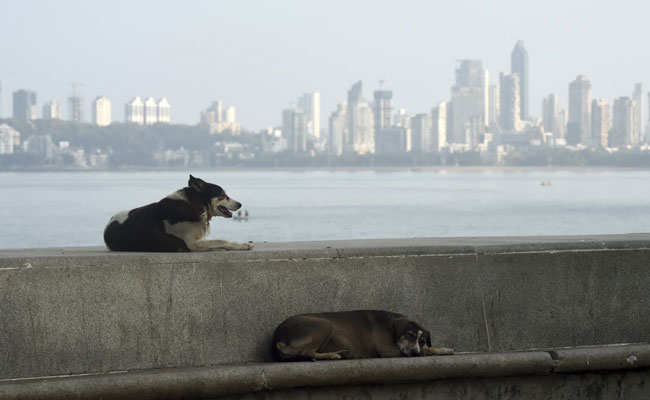 Maharashtra Announces Unlock Guidelines. Read Full Government Order