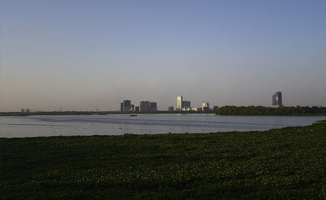 Delhi Development Authority Says Can't Create Special Entity For Yamuna