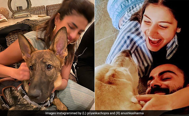 These Celebs And Their Pets Will Give You A Dose Of "Paw"sitivity