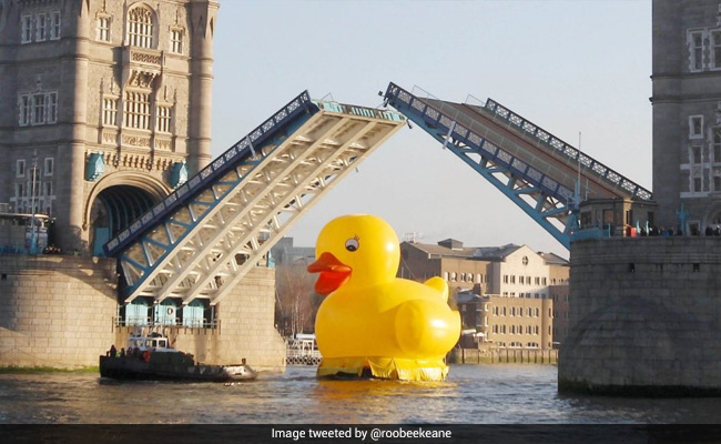 Netizens Parody "Nature Is Healing" Posts With The Funniest Pics