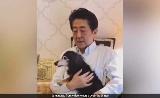 "Who Do You Think You Are?" Trends After Outrage Over Abe's Video Message