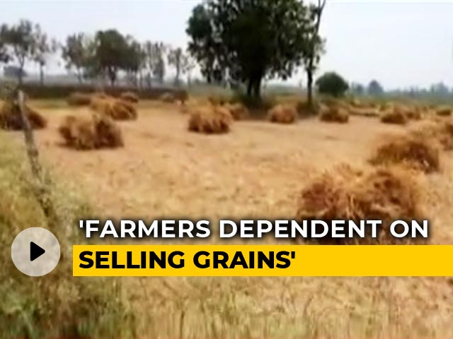 Amid Lockdown Extension, UP Farmers Hope For Profit In Harvest Season Amid Lockdown Extension, UP Farmers Hope For Profit In Harvest Season