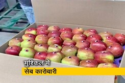 लॉकडाउन के कारण परेशान हैं कश्मीर के सेब कारोबारी लॉकडाउन के कारण परेशान हैं कश्मीर के सेब कारोबारी