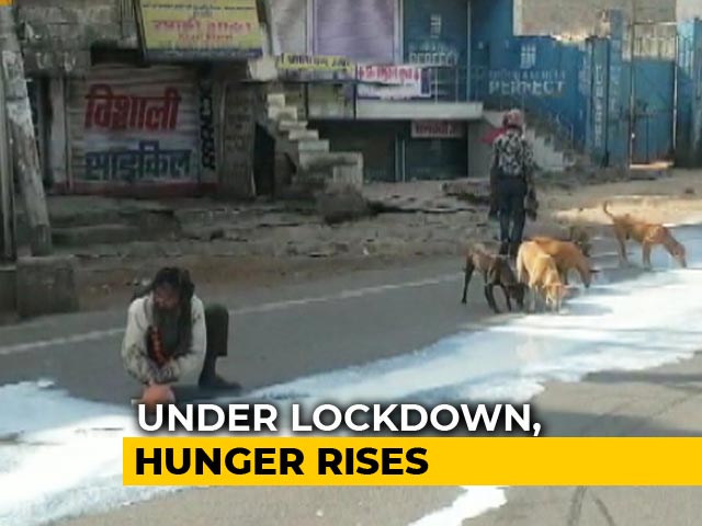 Man, Dogs Sharing Spilt Milk In Agra Shows Lockdown Desperation