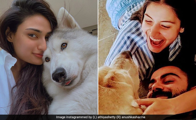 Celebs Spend Time With Pets During Lockdown, Delight Fans With Adorable Pics