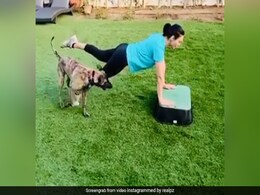 World Health Day 2020: Preity Zinta's Pet Dog Bruno Interrupts Her During Workout Session. Her Reaction World Health Day 2020: Preity Zinta's Pet Dog Bruno Interrupts Her During Workout Session. Her Reaction
