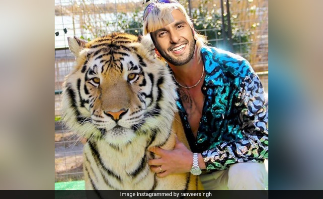 Ranveer Singh's Photoshopped Picture With A Tiger Will Leave You In Splits