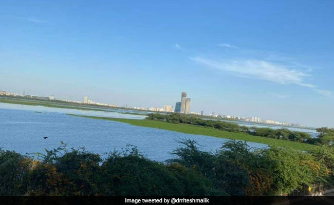 Considerable Drop In Aquatic Life Population In Yamuna, Parliament Told