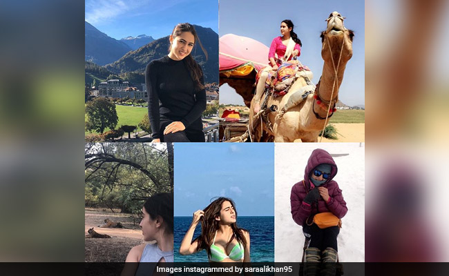 सारा अली खान ने Photo शेयर कर फैंस को दी Earth Day की बधाई, ईशान खट्टर ने याद दिलाई यह बात