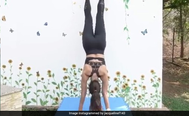 जैकलीन फर्नांडिस हाथों के बल खड़े होकर दिखाने लगीं ऐसे करतब, Video देख रह जाएंगे हैरान