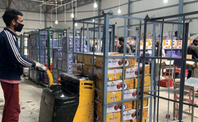 Amid Lockdown, 3 Million Cartons Of Apples Lying In Kashmir Cold Storage