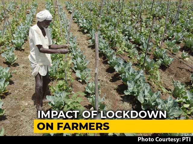 Assam Farmers Stare At Catastrophe Amid Coronavirus Lockdown
