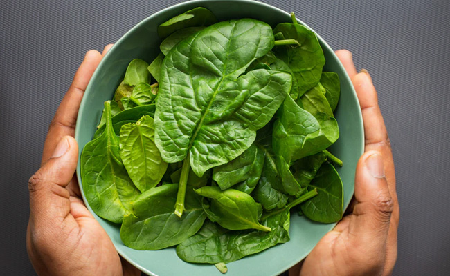Spinach For Diabetics: डायबिटीज में रामबाण उपाय हो सकता है पालक, कारगर तरीके से करेगा ब्लड शुगर लेवल को कंट्रोल! Spinach For Diabetics: डायबिटीज में रामबाण उपाय हो सकता है पालक, कारगर तरीके से करेगा ब्लड शुगर लेवल को कंट्रोल!