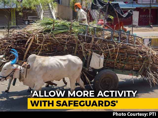 Allow More Activities With "Reasonable Safeguards", Key Ministry Suggests