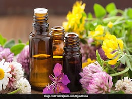 Skincare Tips: Top 3 Essential Oils For Your Skin Skincare Tips: Top 3 Essential Oils For Your Skin