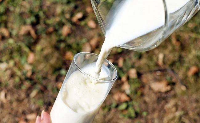 After Tweet From Mother, Railways Delivers Camel Milk For Autistic Child