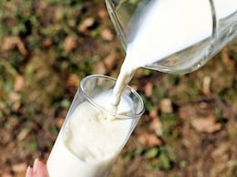 Does Organic Production Enhance Milk's Nutritional Quality? Expert Weighs In