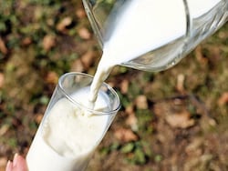 Dispute Over Milk Takes Nasty Turn As Woman Chews Farmer's Finger