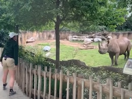 लॉकडाउन के बीच चिड़िया घर में गैंडे को देखने पहुंची महिला तो बड़े से जानवर ने किया कुछ ऐसा... देखें पूरा Video लॉकडाउन के बीच चिड़िया घर में गैंडे को देखने पहुंची महिला तो बड़े से जानवर ने किया कुछ ऐसा... देखें पूरा Video