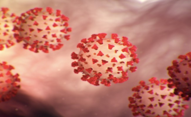 US Approves Plasma Therapy To Help Treat Coronavirus