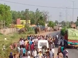 छत्तीसगढ़ में बस्ती में घुसे दो हाथी शोर होने पर हिंसक हो गए, एक युवती को किया घायल, देखें-VIDEO छत्तीसगढ़ में बस्ती में घुसे दो हाथी शोर होने पर हिंसक हो गए, एक युवती को किया घायल, देखें-VIDEO
