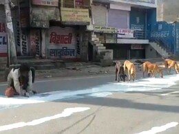 Lockdown का ये कैसा कहर? आगरा में जब सड़क पर बिखरे दूध को इंसान और जानवर साथ पीने लगे... Lockdown का ये कैसा कहर? आगरा में जब सड़क पर बिखरे दूध को इंसान और जानवर साथ पीने लगे...