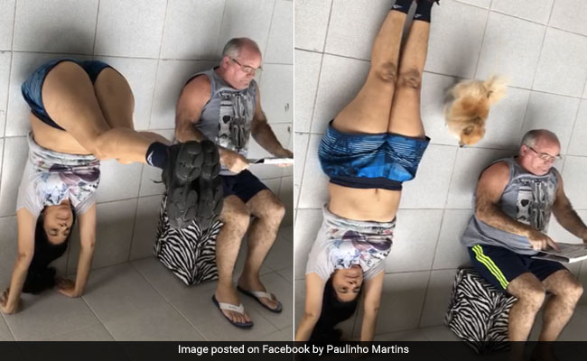 Dog Exposes Woman's Fake Handstand In Hilarious Video. Watch