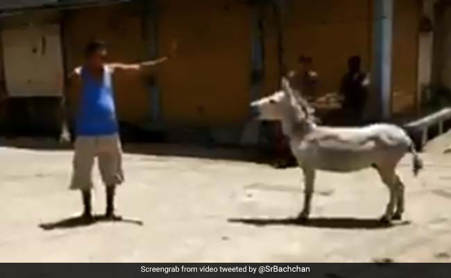 अमिताभ बच्चन ने शेयर किया मजेदार Video, लॉकडाउन की वजह से गधे से बातें करने लगा यह शख्स