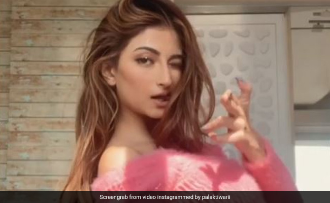 श्वेता तिवारी की बेटी का वीडियो हुआ वायरल, लॉकडाउन में कुछ इस अंदाज में मस्ती करती दिखीं पलक तिवारी