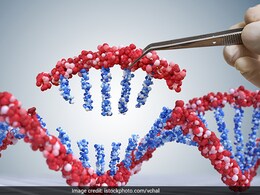 Genomic Analysis Of 10,000 Indians Likely To Kickstart Precision Medicine Genomic Analysis Of 10,000 Indians Likely To Kickstart Precision Medicine