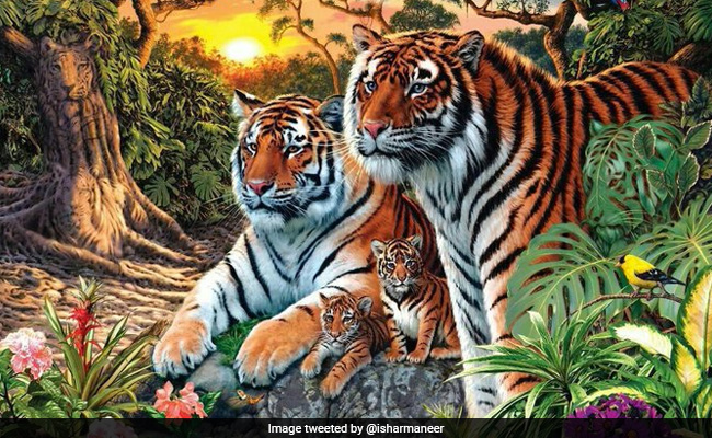 How Many Tigers Can You See In This Pic? Amitabh Bachchan Answers...