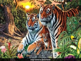 फोटो में कितने टाइगर? Twitter पर अमिताभ बच्चन समेत कई सितारें ढूंढ रहे जवाब... फोटो में कितने टाइगर? Twitter पर अमिताभ बच्चन समेत कई सितारें ढूंढ रहे जवाब...