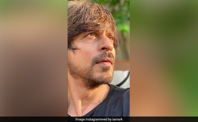 "Stay Safe. Stay Distant": Shah Rukh Khan's Coronavirus Message Comes With A "Look Good" Selfie