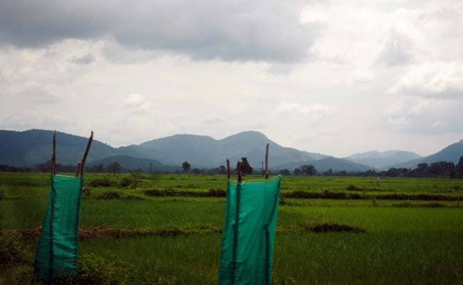 Odisha Maoists Announce "Ceasefire", Request COVID-19 Aid For Villagers