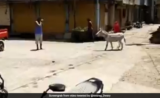 ये इंसान निकालता है गधे की आवाज, MP के इस शख्स का VIDEO अमिताभ बच्चन भी कर चुके हैं शेयर