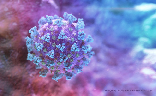 Indian COVID-19 Variant Found In Belgium: Health Official