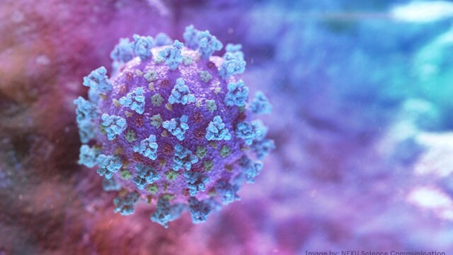 COVID-19: Looking at origins of coronavirus can help in preventing a similar pandemic in future