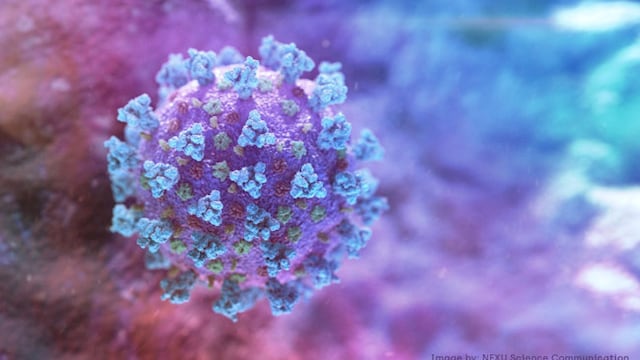COVID-19: Looking at origins of coronavirus can help in preventing a similar pandemic in future