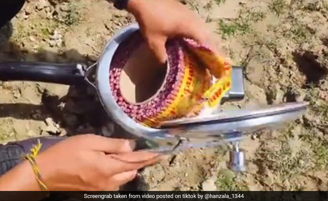 TikTok Viral Video: शख्स ने कुकर में डाल दी पटाखे की लड़ी, ढक्कन बंद कर लगाई आग, तो हुआ ऐसा...