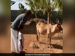 बॉलीवुड एक्टर ने गाय के बछड़े से कराई बेटे की दोस्ती, फॉर्म का Video हुआ वायरल बॉलीवुड एक्टर ने गाय के बछड़े से कराई बेटे की दोस्ती, फॉर्म का Video हुआ वायरल