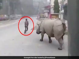 लॉकडाउन में बाहर निकला शख्स तो गैंडे ने लगा दी पीछे दौड़, फिर हुआ कुछ ऐसा... देखें पूरा Video लॉकडाउन में बाहर निकला शख्स तो गैंडे ने लगा दी पीछे दौड़, फिर हुआ कुछ ऐसा... देखें पूरा Video