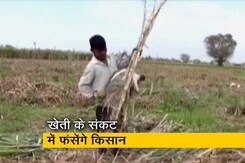 लॉकडाउन से हुआ पलायन, अब खेती के संकट में फंसेंगे किसान लॉकडाउन से हुआ पलायन, अब खेती के संकट में फंसेंगे किसान