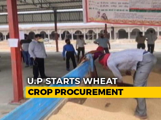Amid Lockdown, UP Starts Buying Grain From Farmers