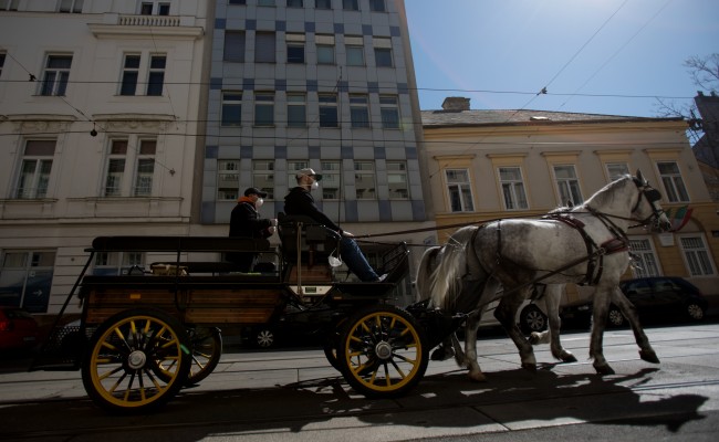 Vienna's Horse-Drawn Carriages Deliver Food To Elderly Amid Coronavirus Pandemic